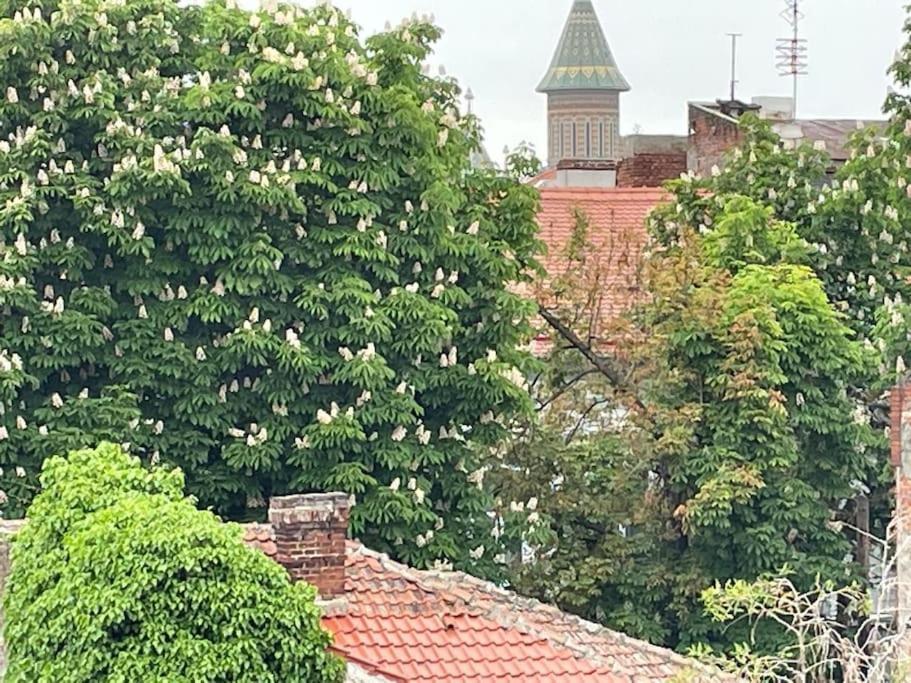 Central, Big Terrace, Near River 티미쇼아라 외부 사진