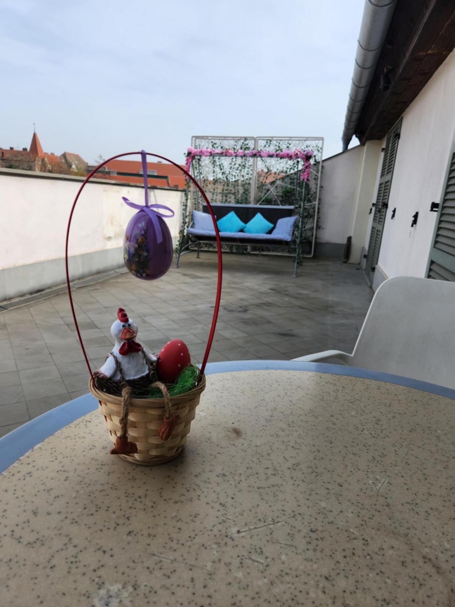 Central, Big Terrace, Near River 티미쇼아라 외부 사진
